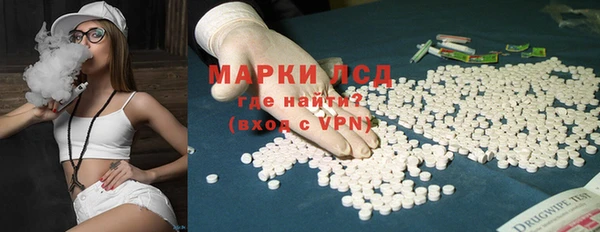трава Наволоки