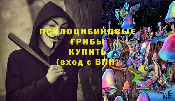 спиды Нефтекумск