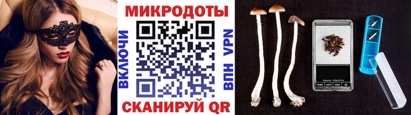 купить наркотик  Полярные Зори  hydra как войти  Псилоцибиновые грибы MAGIC MUSHROOMS 